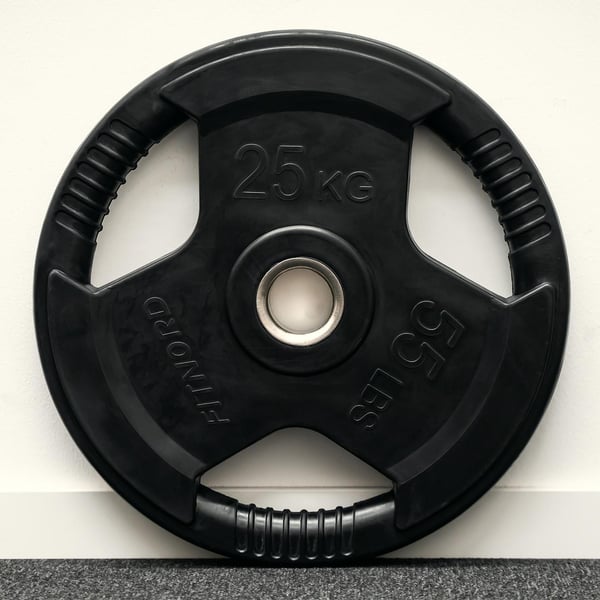 Levypaino 25 kg, FitNord Tri Grip Black G2