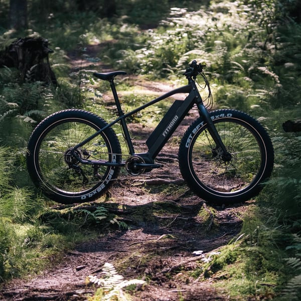 FitNord Rumble 500 Sähköfatbike 2024, musta (720 Wh tehoakku)