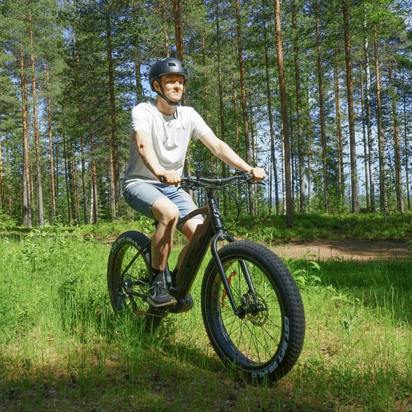 FitNord Rumble 500 Sähköfatbike (690 Wh tehoakku)