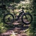 FitNord Rumble 500 Sähköfatbike 2024, musta (720 Wh tehoakku)