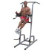 Body-Solid GKR82 Power Tower